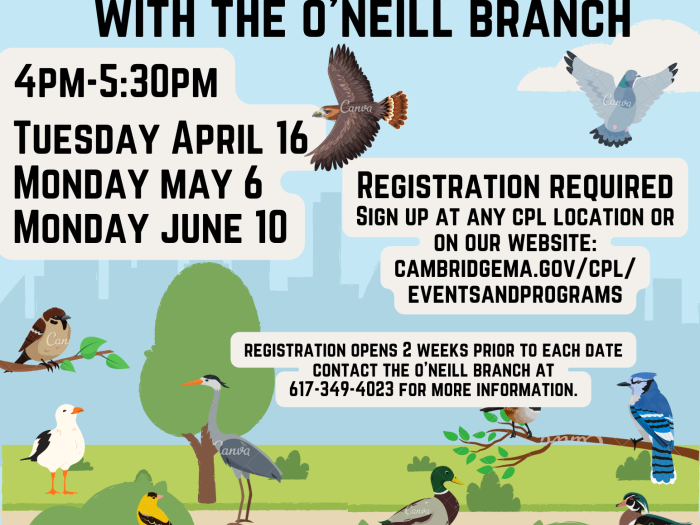 Event image for CPL Nature Club - Spring Birdwatching (O'Neill)