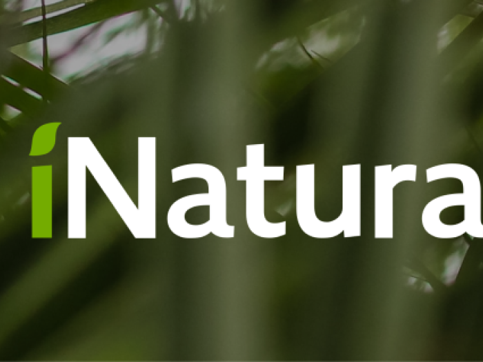 Event image for CPL Nature Club: Introduction to iNaturalist and Bioblitz at Danehy Park (Boudreau)