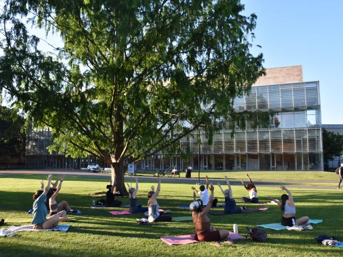 Event image for Evening Yoga at the CPL (Main)