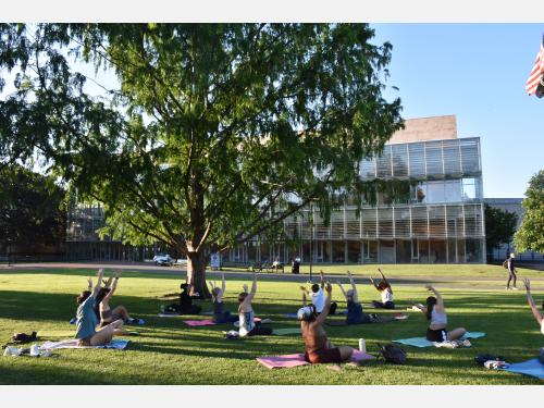 Event image for Evening Yoga at the CPL (Main)