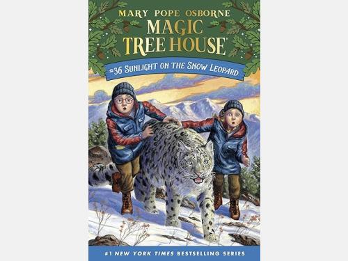 Event image for Magic Tree House Book Group (O'Connell/Virtual)