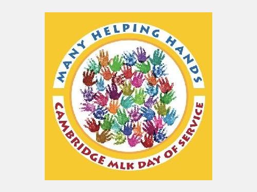 Image of Volunteering Opportunities at Many Helping Hands / 365 program