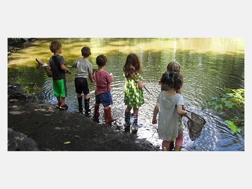 Image of Habitat Nature Day Camp program