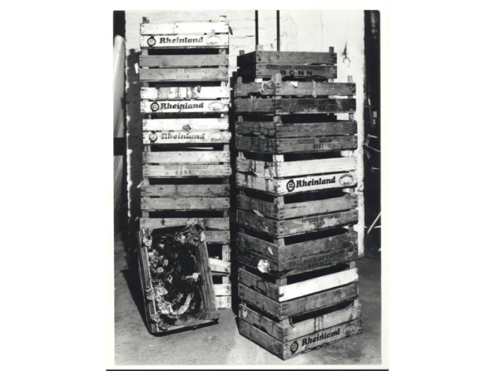 A black and white photograph shows a brightly lit room of wooden crates full of lettuce.