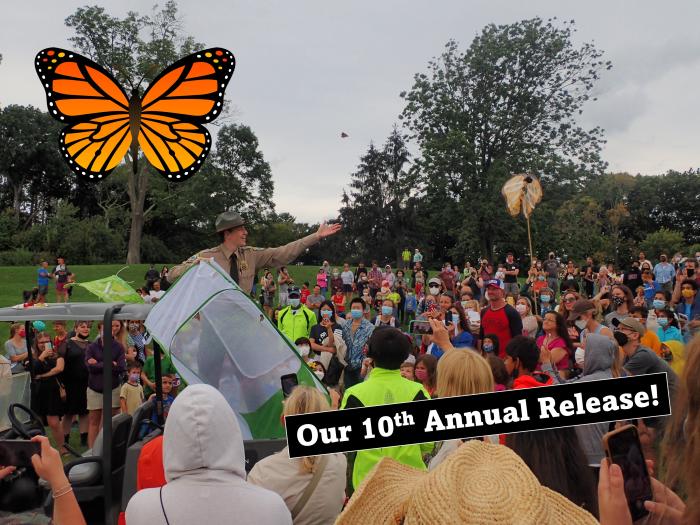 A park ranger releasing butterflies over a crowd