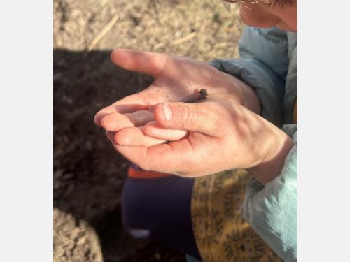 Child holding a worm in their hands while playing in the play garden