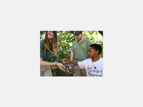 Image of Zoo New England Summer Camps program.